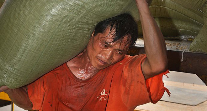 一幅令人揪心的图片:码头工人在流汗